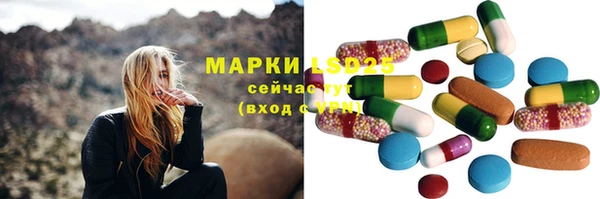 СК Медногорск