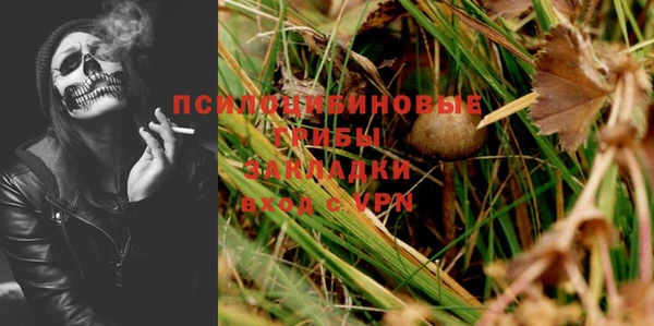 тгк Арсеньев