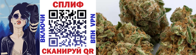 купить закладку  Полевской  Бошки Шишки сатива 